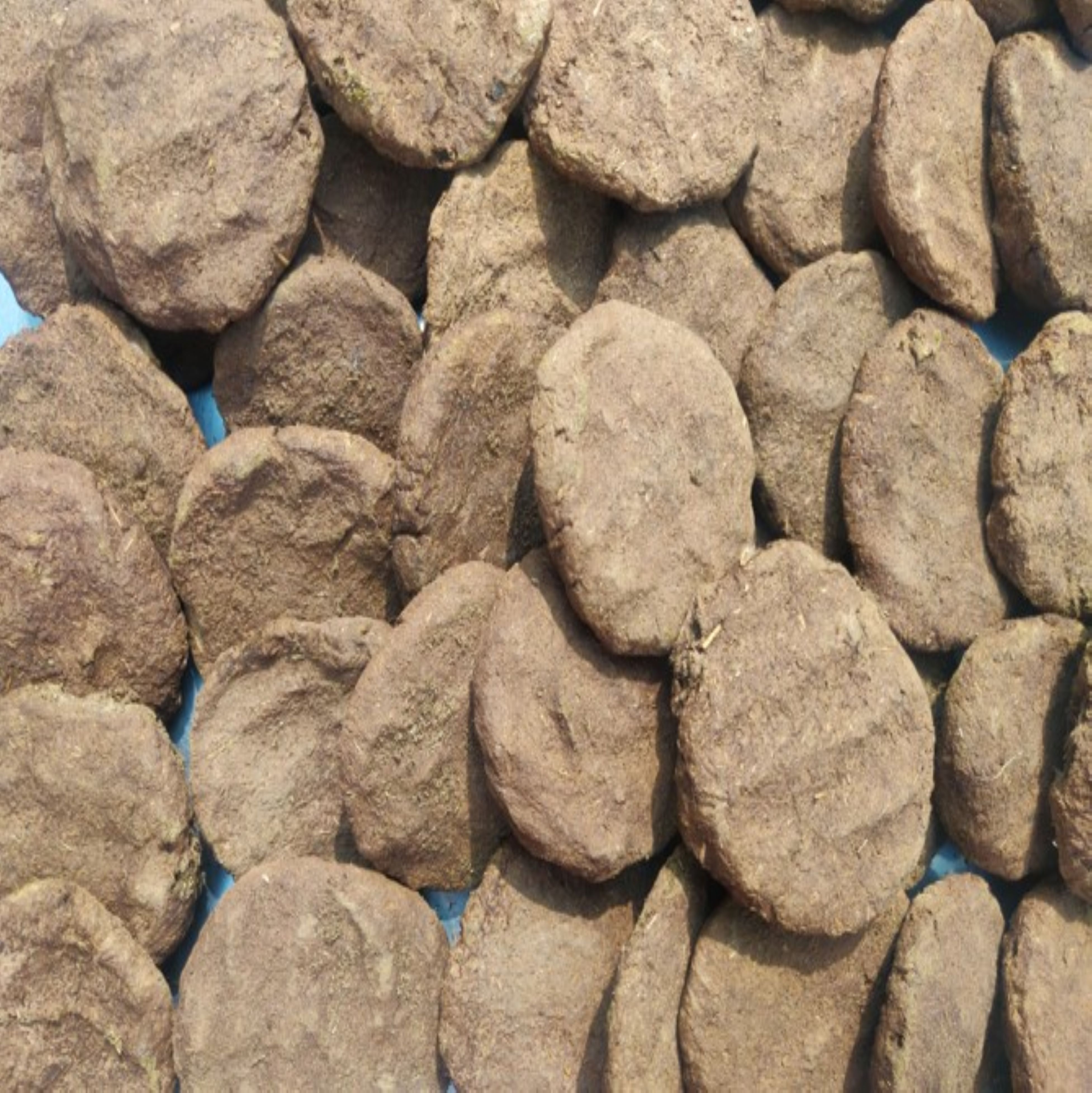 paarakhi_product_image