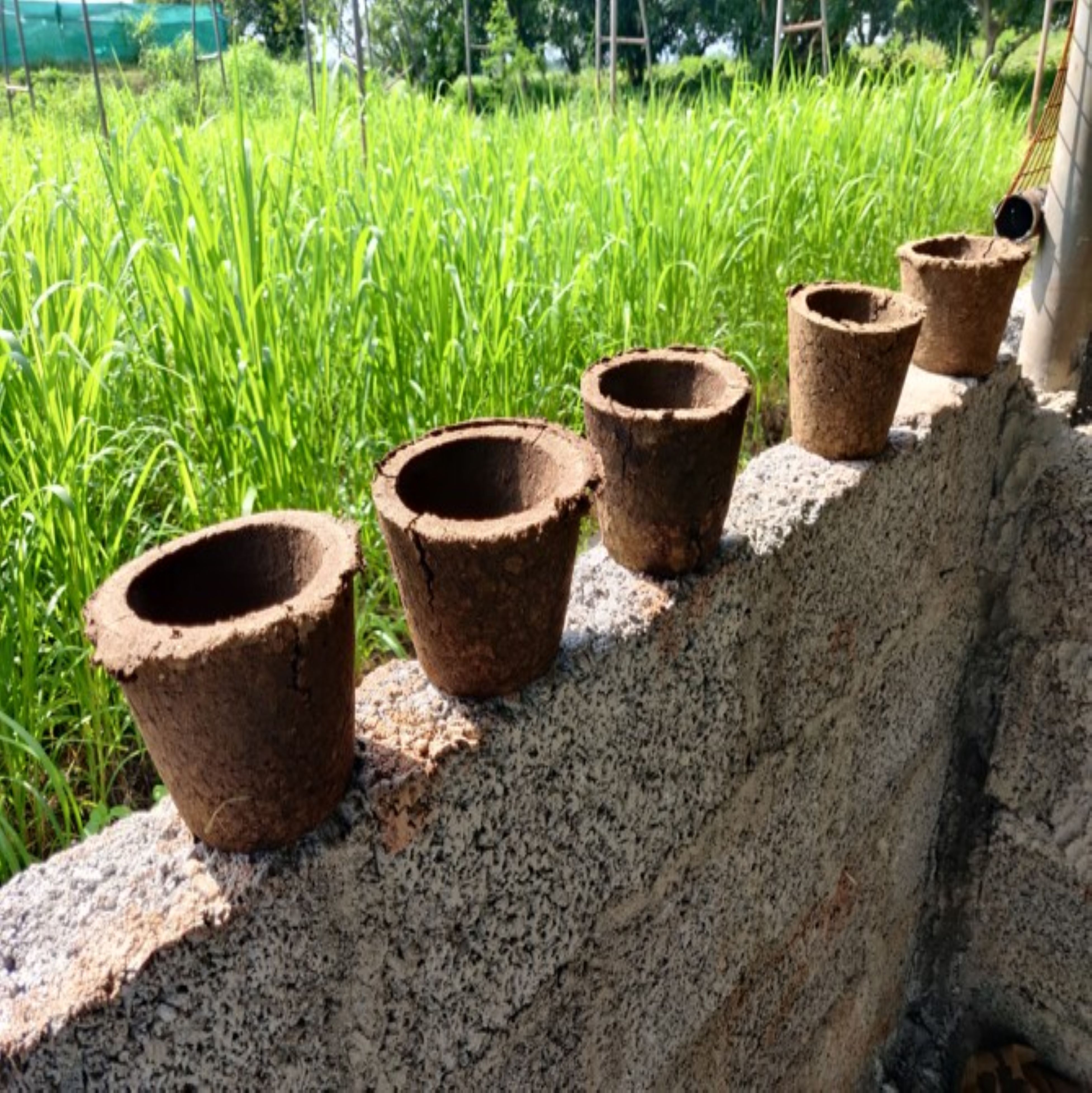 paarakhi_product_image