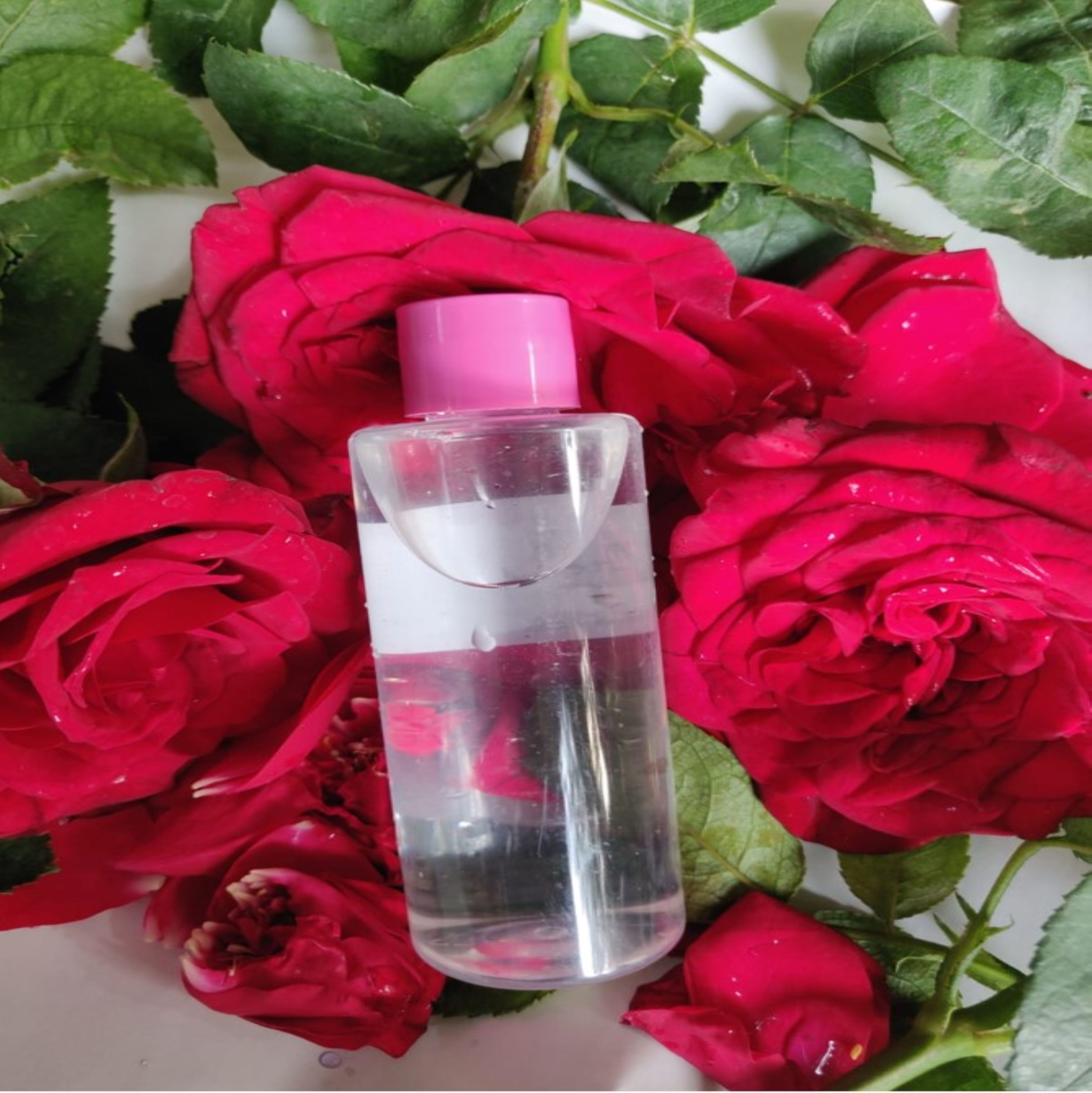 paarakhi_product_image